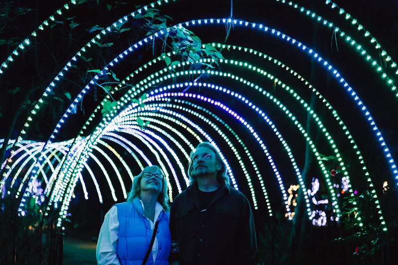 Winter Lights Elizabethan Gardens