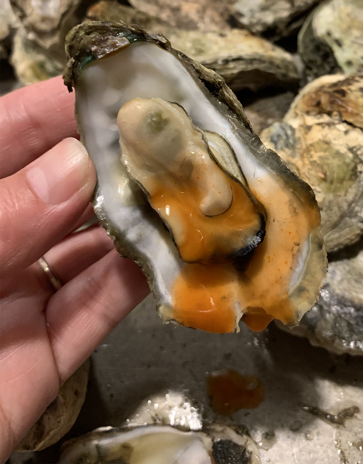 oyster with hot sauce