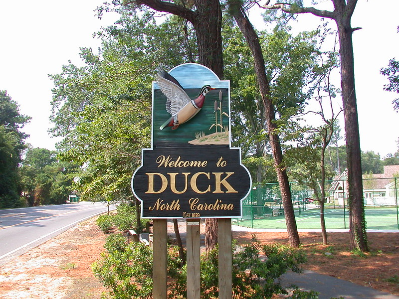 Welcome to Duck