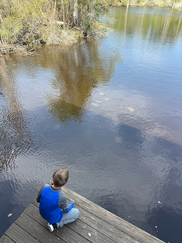 OBX Hiking Trails