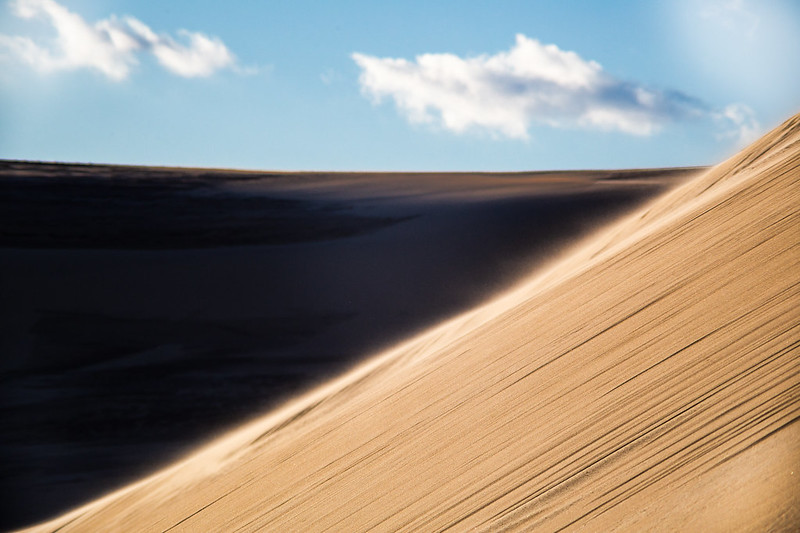 Jockey's Ridge saltation
