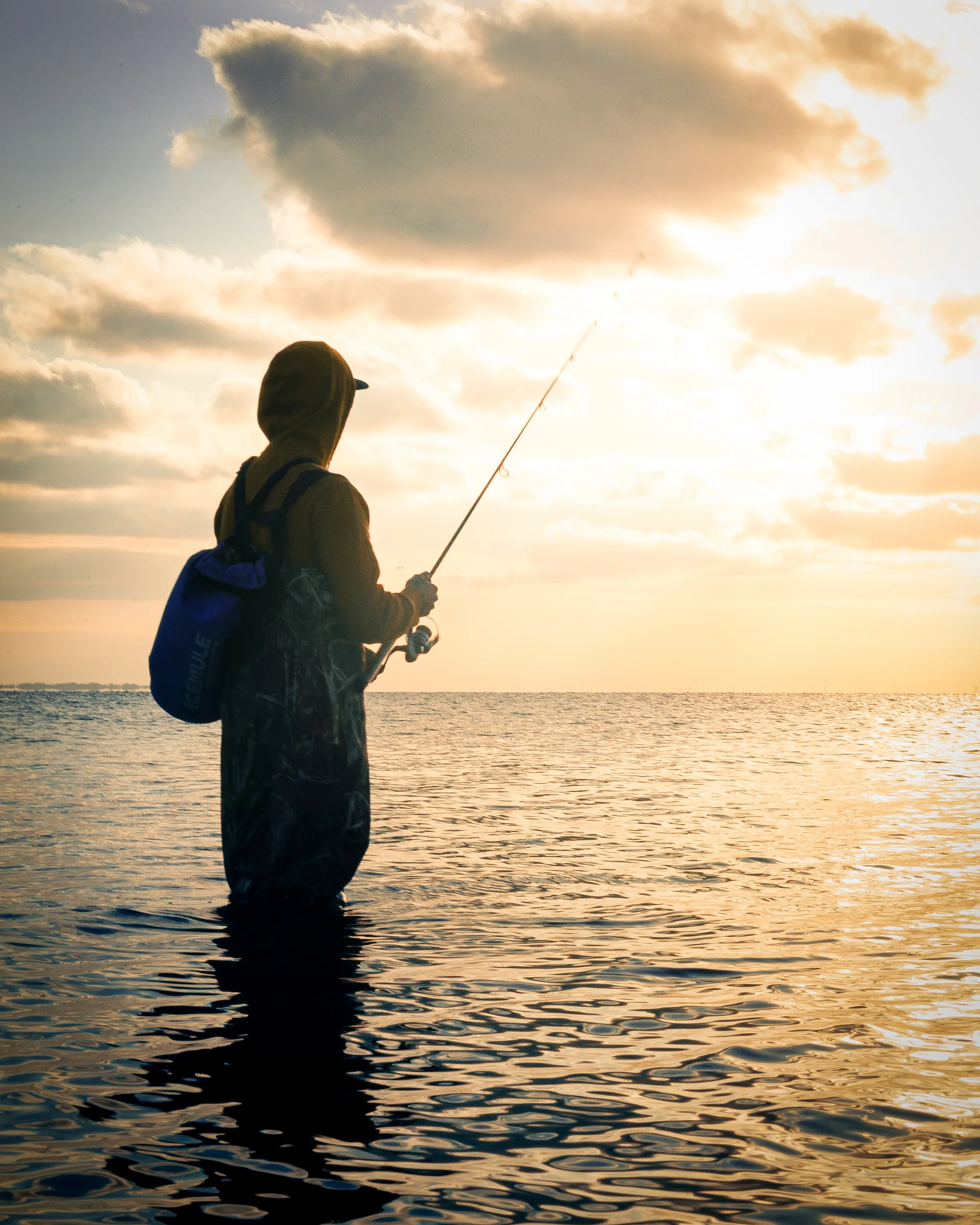 fishing sunset