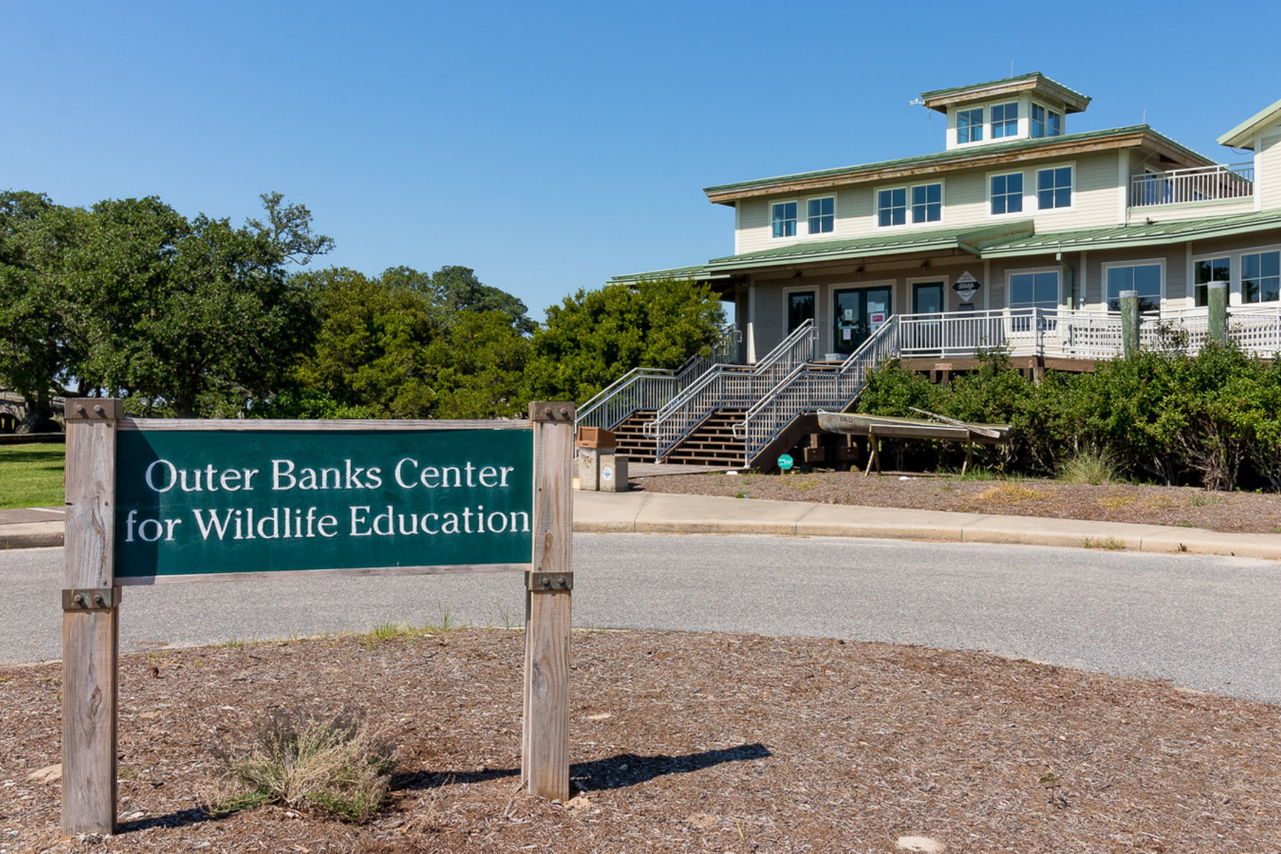 outer banks center for wildlife education