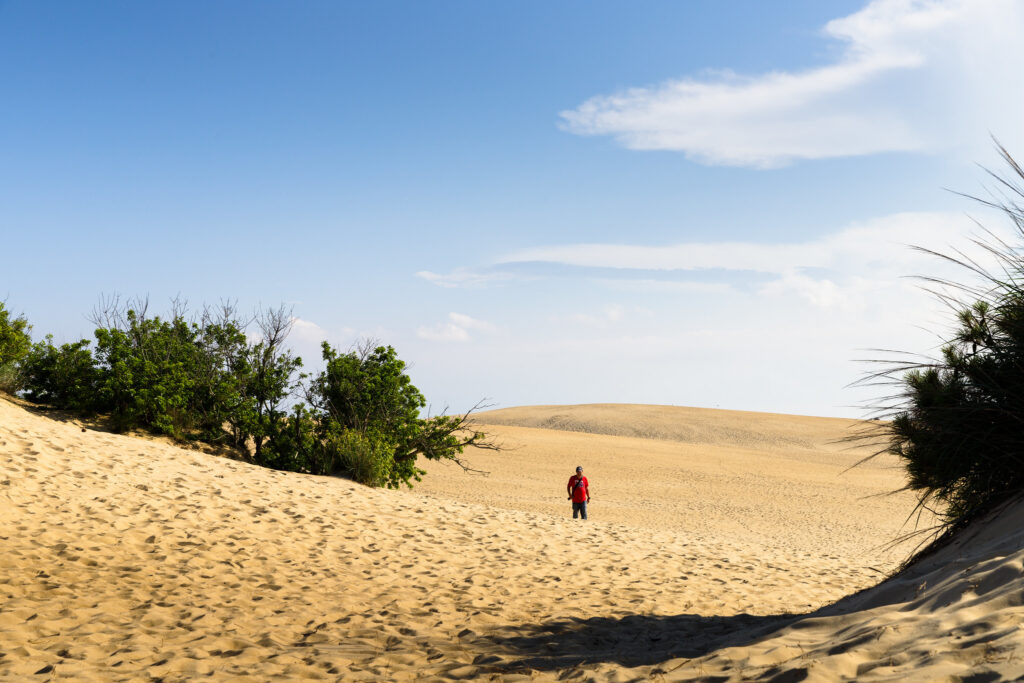 What to Do in the Outer Banks in March