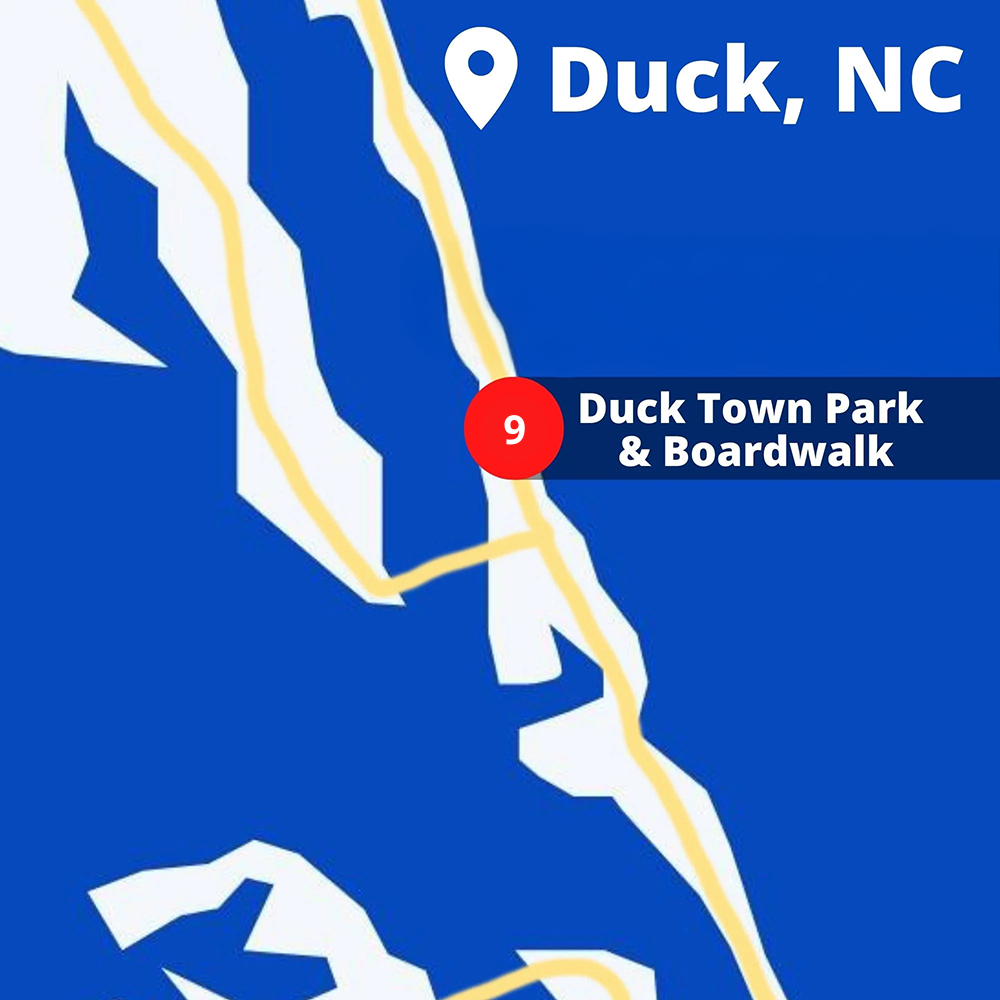 check_in_duck