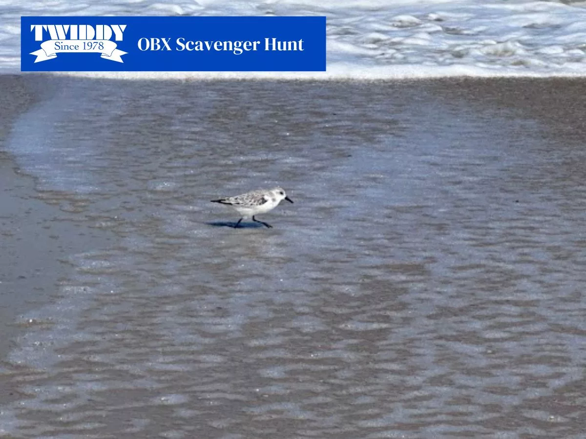 Outer Banks Scavenger Hunt