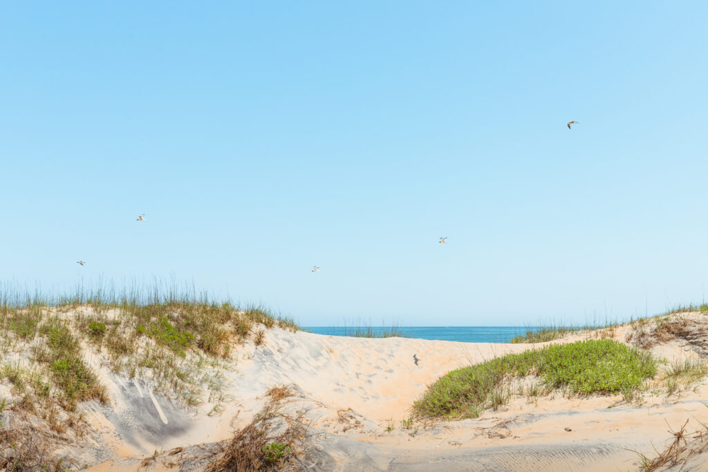 Free Things to Do in the OBX