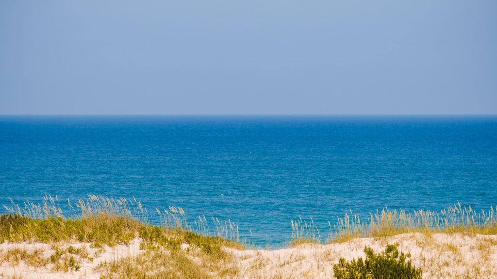 Your Guide to Wellness by the Waves