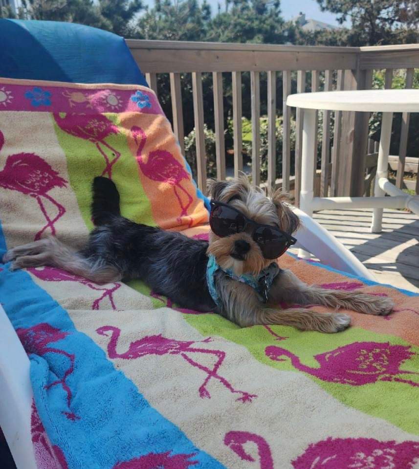 Outer Banks Pool Party Guide