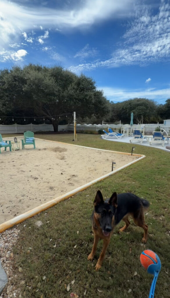OBX Vacation Rentals with Fenced Yards Your Pet Will Love