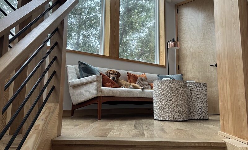 bringing pets on 2026 Outer Banks vacation