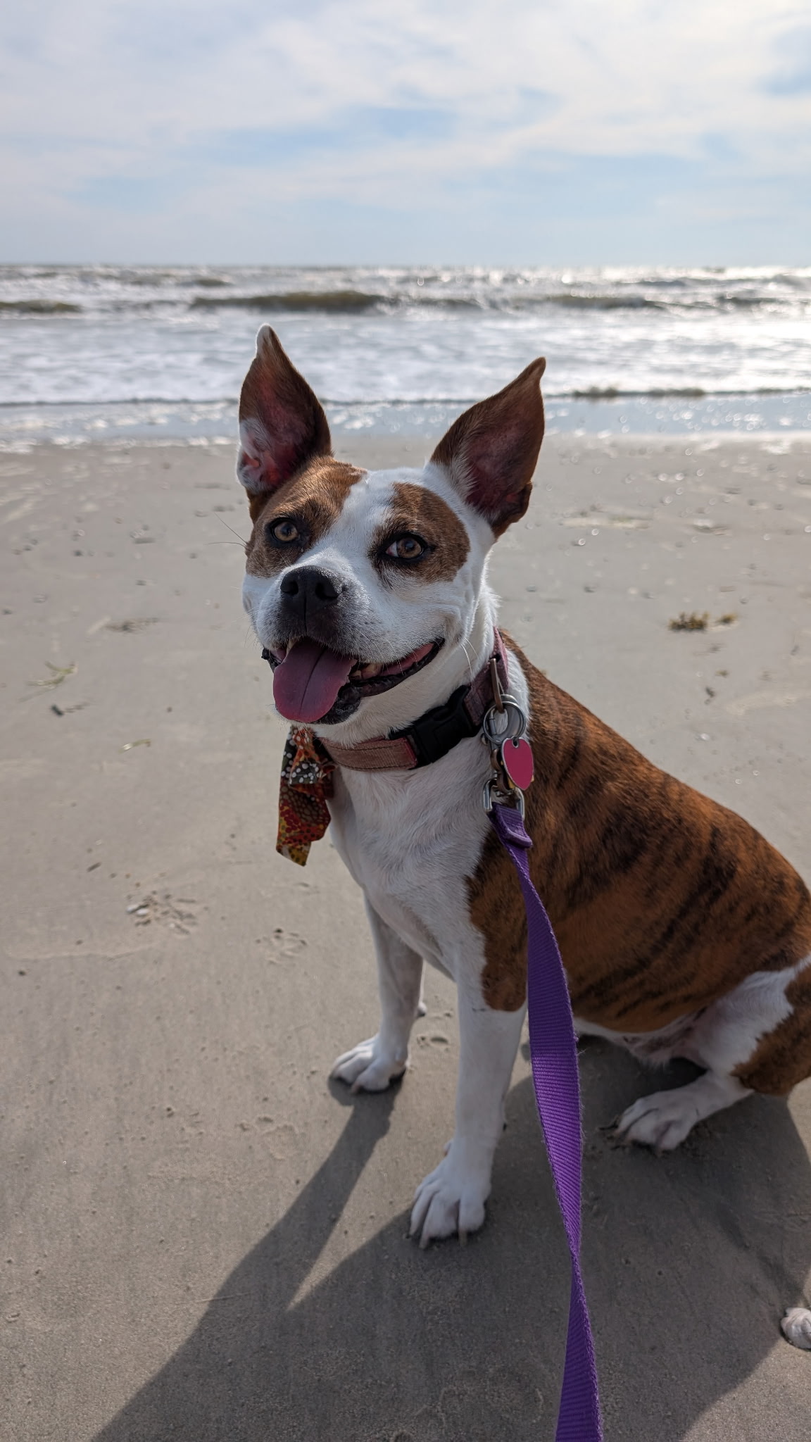 Finding Rest on the Outer Banks