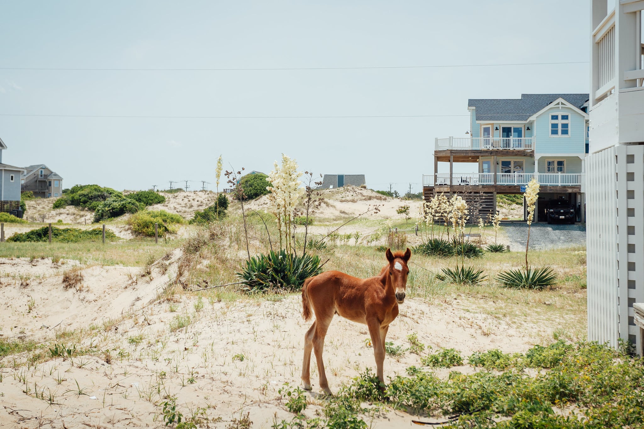 History of the 4×4 Beaches