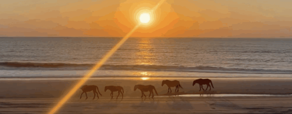 History of the 4×4 Beaches